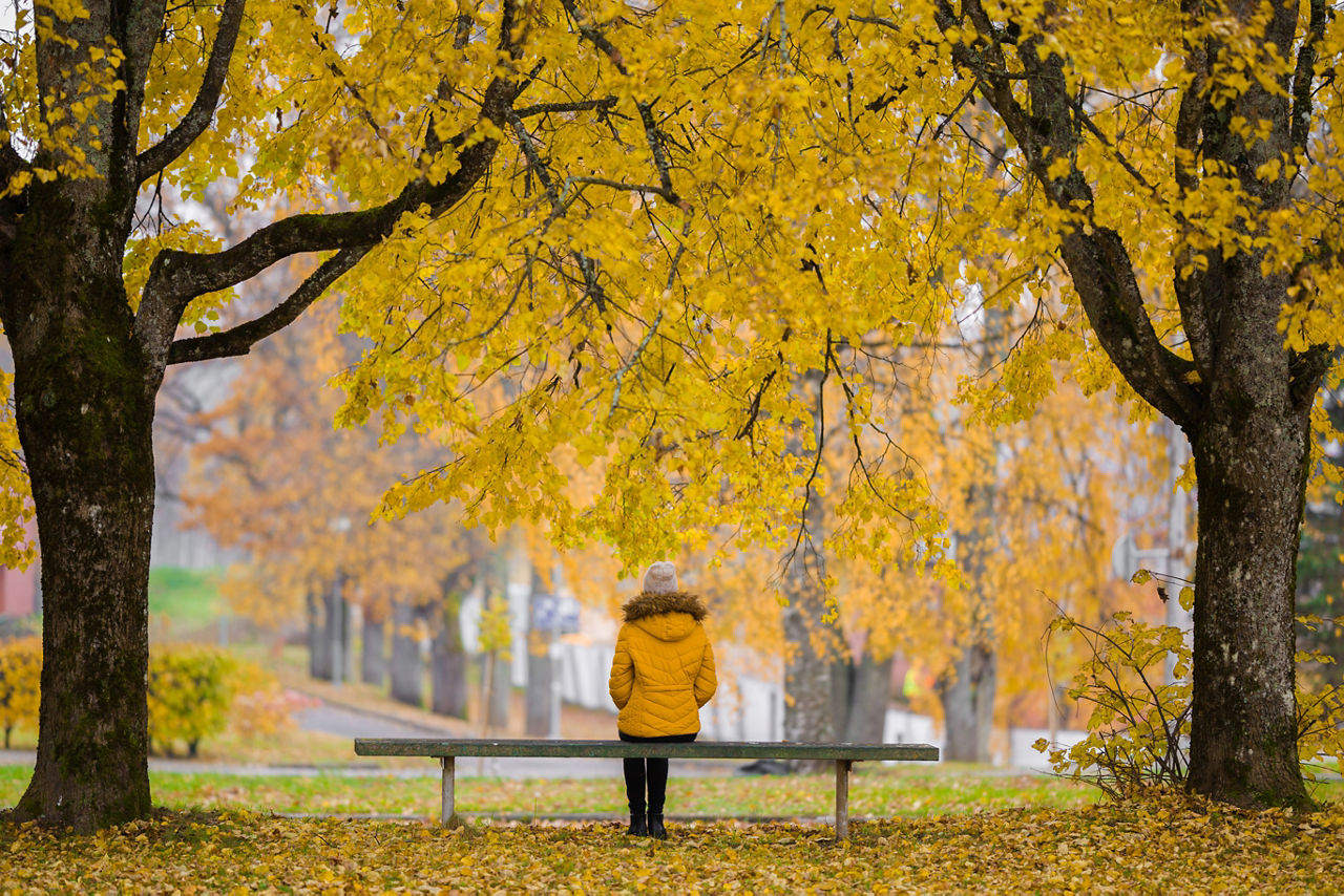 Young woman in yellow jacket sitting alone on bench between trees at beautiful day at park. Golden autumn. Thinking about life. Spending time alone in nature. Peaceful atmosphere. Back view.
