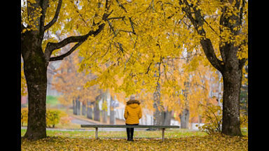 Young woman in yellow jacket sitting alone on bench between trees at beautiful day at park. Golden autumn. Thinking about life. Spending time alone in nature. Peaceful atmosphere. Back view.