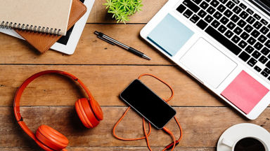 leather brush and polish 